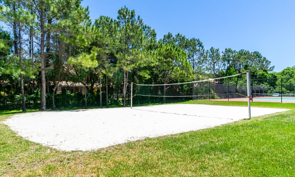 Sand Volleyball Court at Palms at Wyndtree