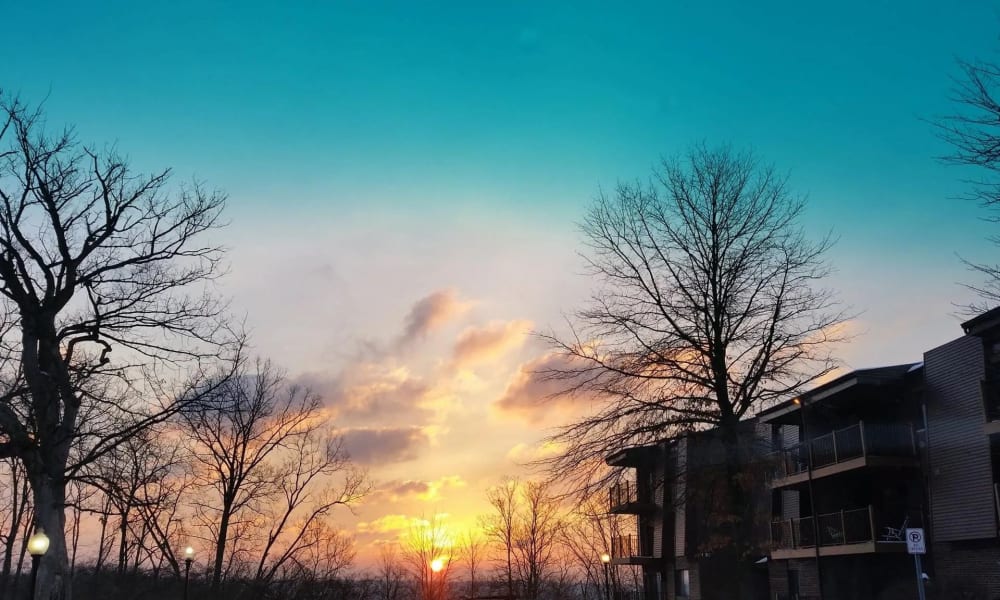 View of sunset from apartments at Cedar Ridge Apartments in Park Hills, Kentucky