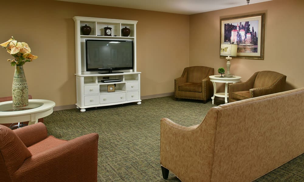 Entertainment room with comfortable seating at Ashbrook in Farmington, Missouri