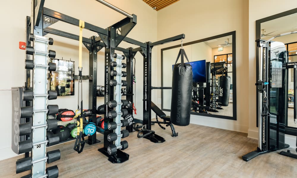 Fitness equipment in the on-site gym at Citizen in Atlanta, Georgia