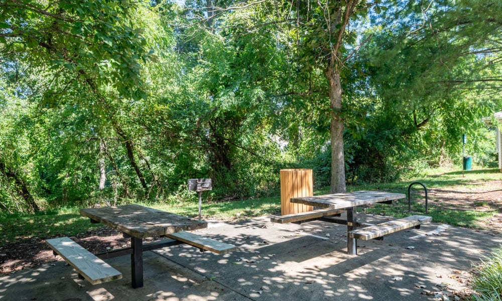 Community picnic tables and barbecue station by wooded area at Arbor Ridge Apartments in Owings Mills, Maryland