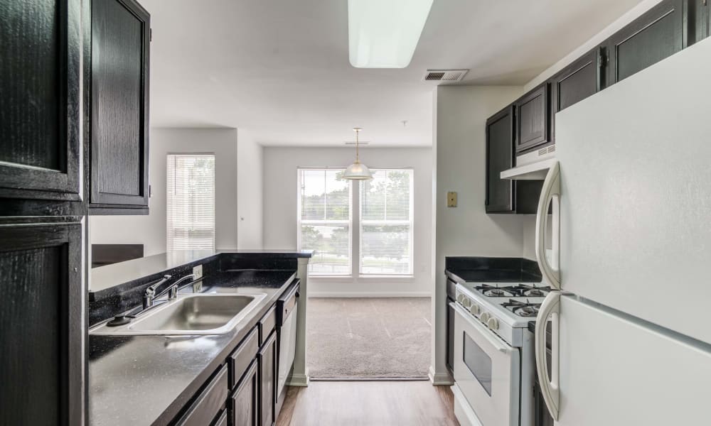 Luxury Kitchen at Apartments in Owings Mills, Maryland