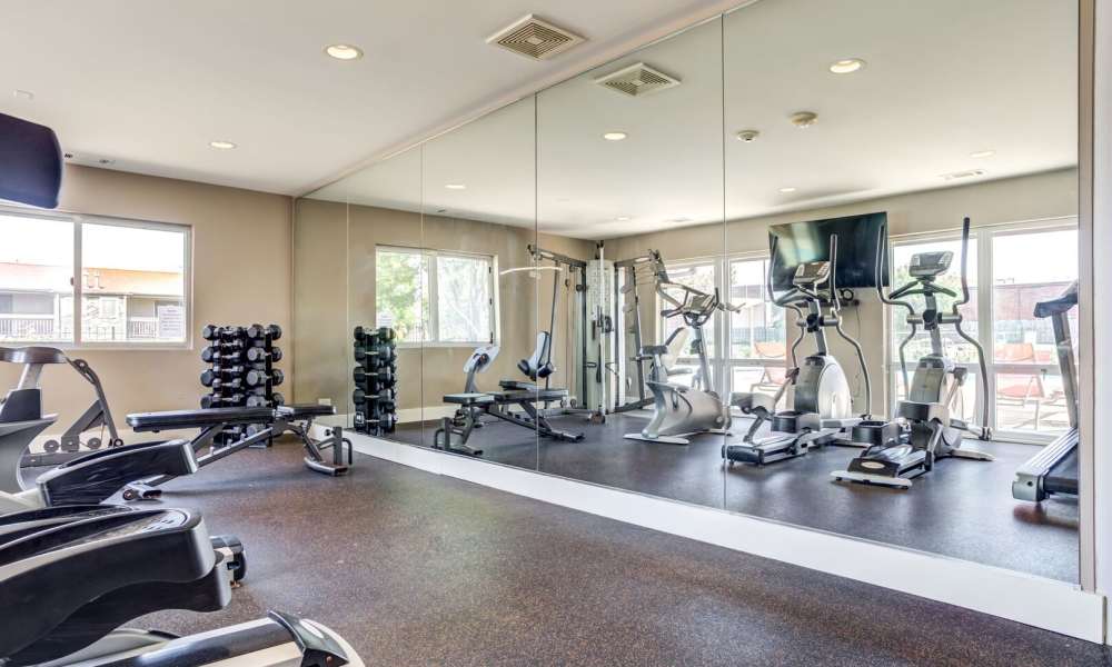 Well-equipped fitness center with various exercise equipment at Briarbrook in Wheaton, Illinois