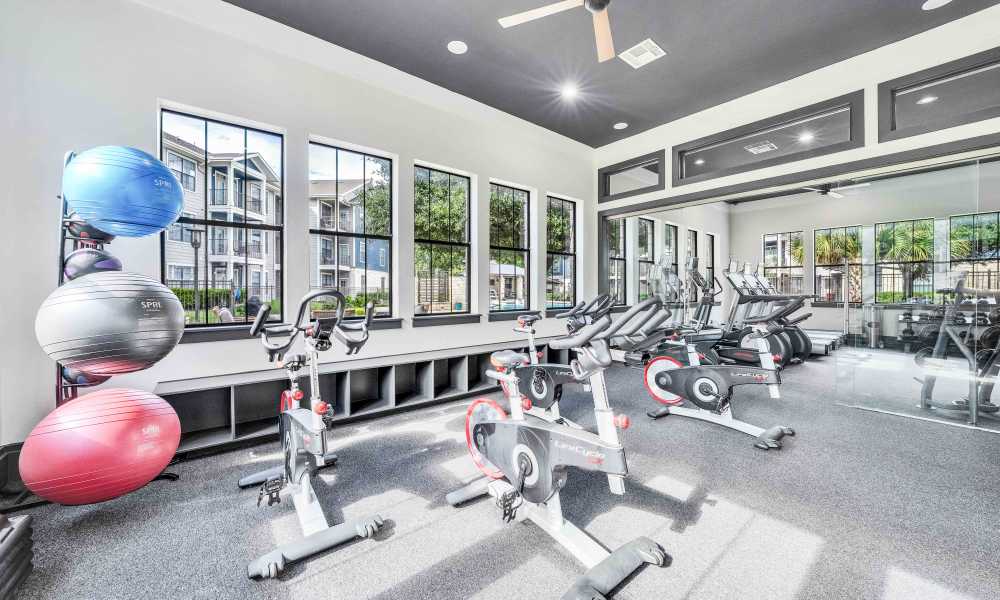 Fitness Center at Villas Tech Ridge in Pflugerville, Texas 
