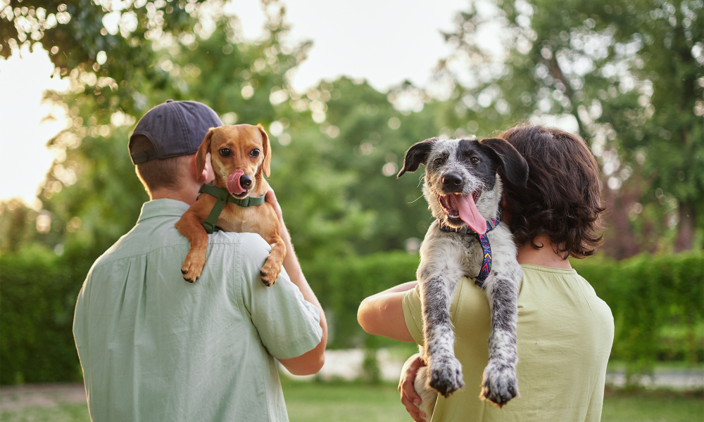 Residents out for a walk with their pets in a park near Elevation @ County Line Station in Englewood, Colorado