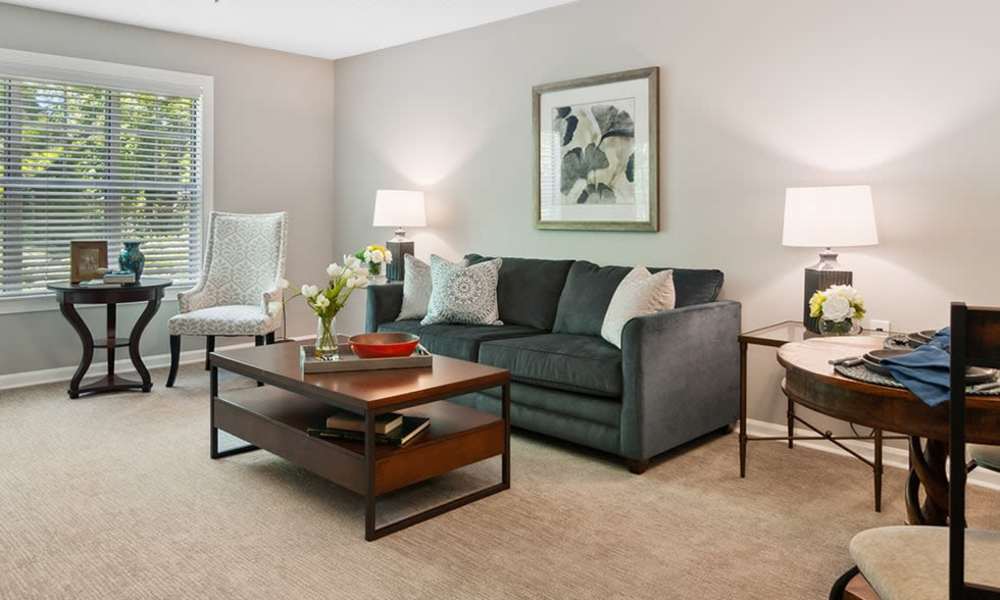 Spacious living room  at MerryWood on Park in Charlotte, North Carolina