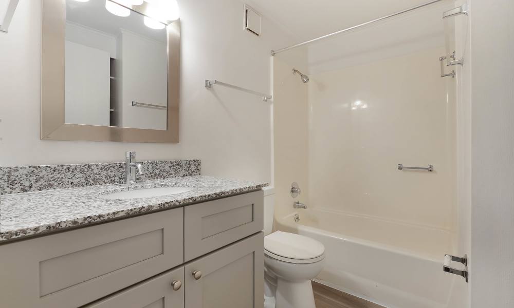 Bright, spacious bathroom at The Flats at Lakeshore in Fort Oglethorpe, Georgia