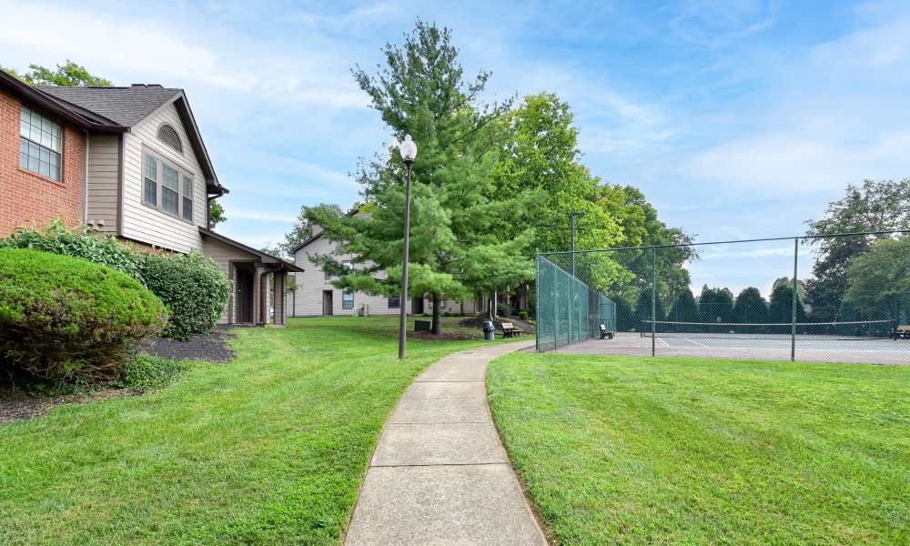 Lots of grass and walking paths around Park Laureate Apartments & Townhomes in Louisville, Kentucky, 