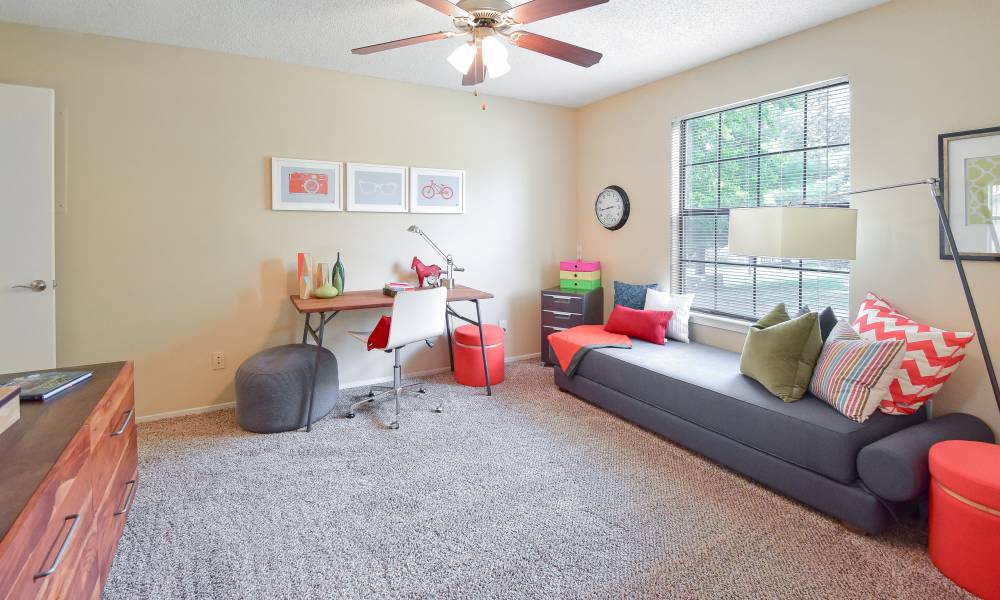 Spacious living room with ceiling fan and plush carpeting at Park Laureate Apartments & Townhomes in Louisville, Kentucky, 