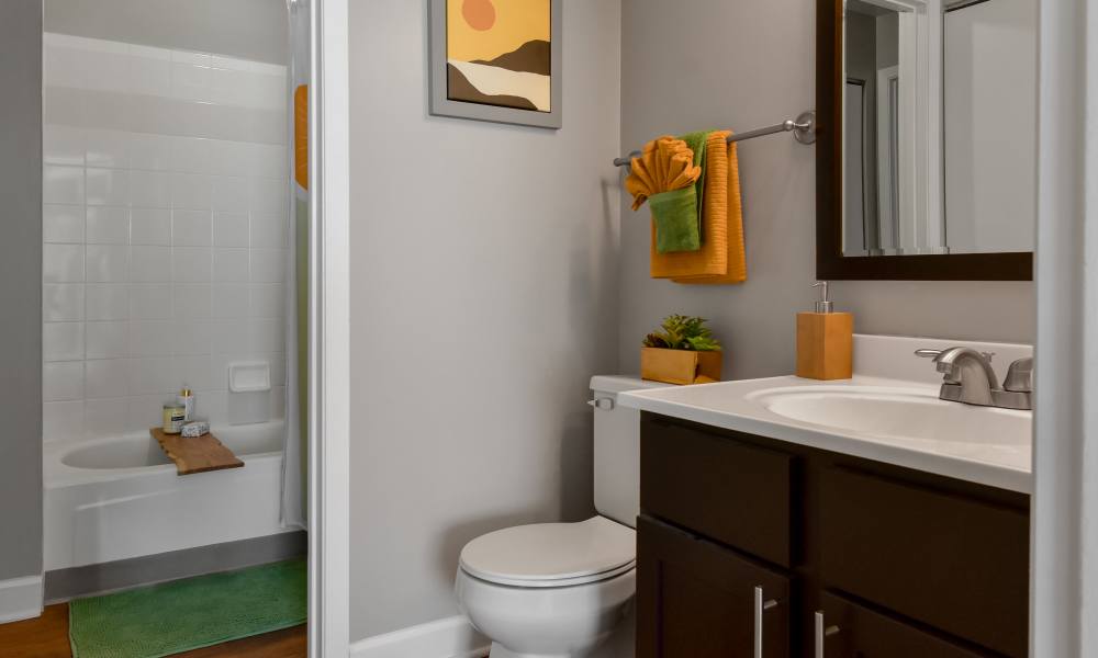 Bath with commode and sink at The Pointe at St. Joseph Apartment Homes in South Bend, Indiana