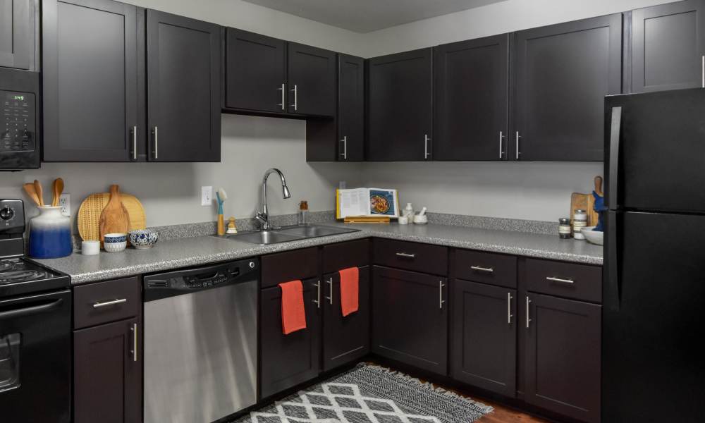 Stainless steel kitchen at The Pointe at St. Joseph Apartment Homes in South Bend, Indiana