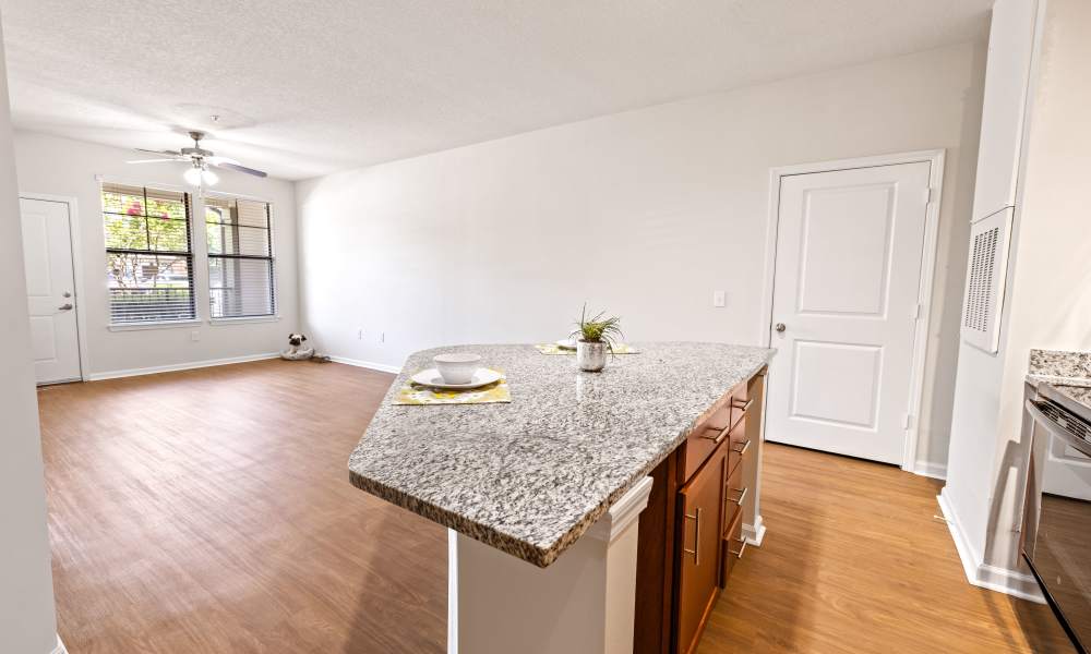 Renovated homes at The Hawthorne in Jacksonville, Florida