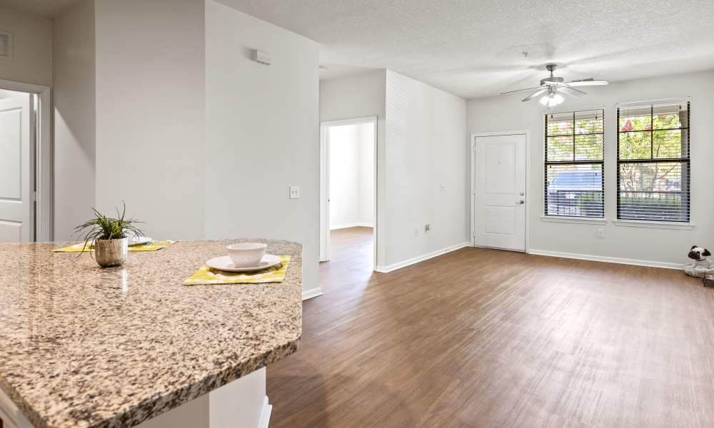 Living room with big windows at The Hawthorne in Jacksonville, Florida