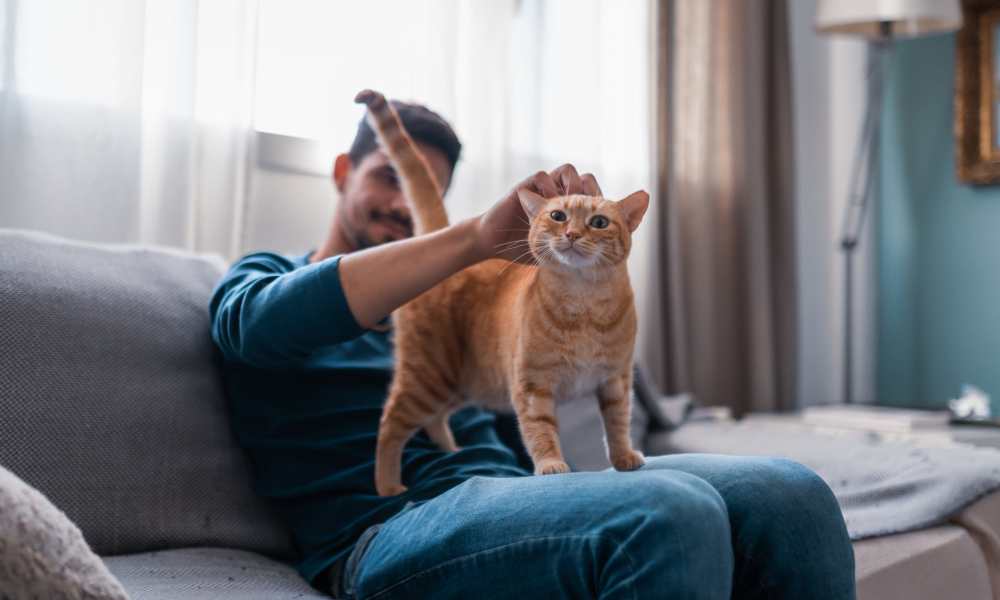 Resident petting her cat at Avonlea Towne Lake in Woodstock, Georgia   