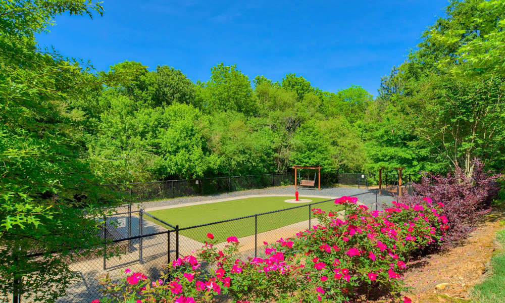 Lush green dog park at Avonlea Towne Lake in Woodstock, Georgia    