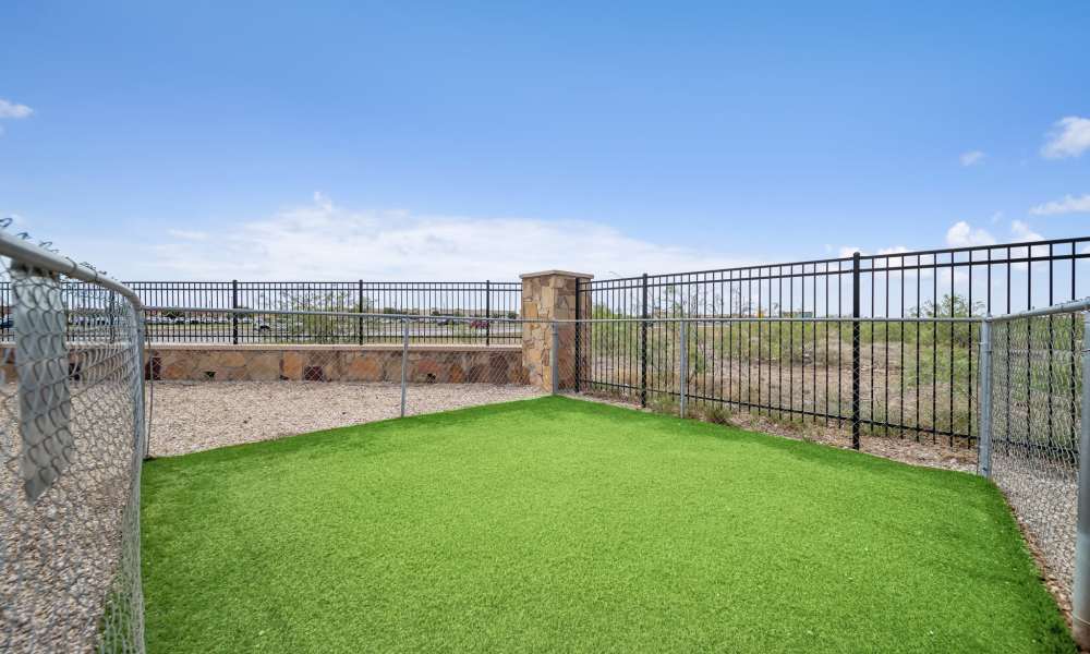View from inside of fenced pet park at Sunset Lodge in Odessa, Texas