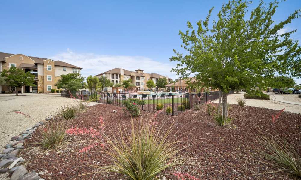 Courtyard and garden bed with view of fenced pool area and apartment buildings in the background at Sunset Lodge in Odessa, Texas