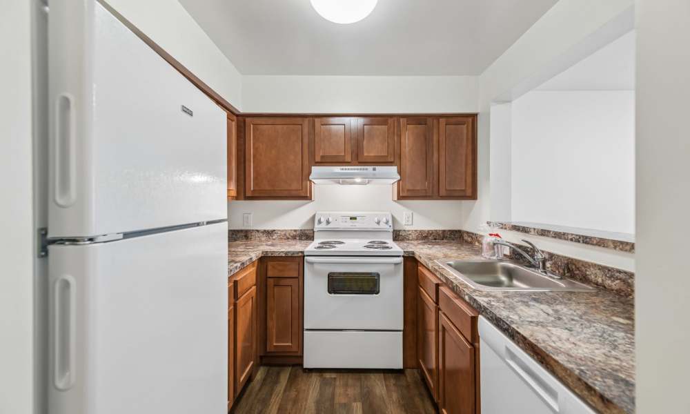Spacious kitchen at Randolph Village Senior Apartments in Silver Spring, Maryland