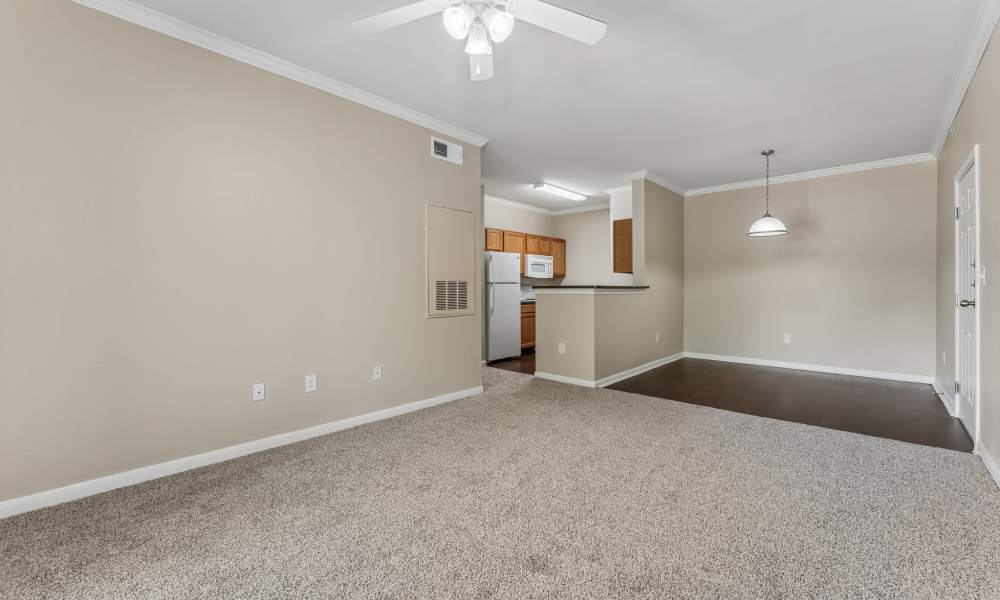 Spacious living area with carpet and kitchen at Point Royale Apartments in Victoria, Texas