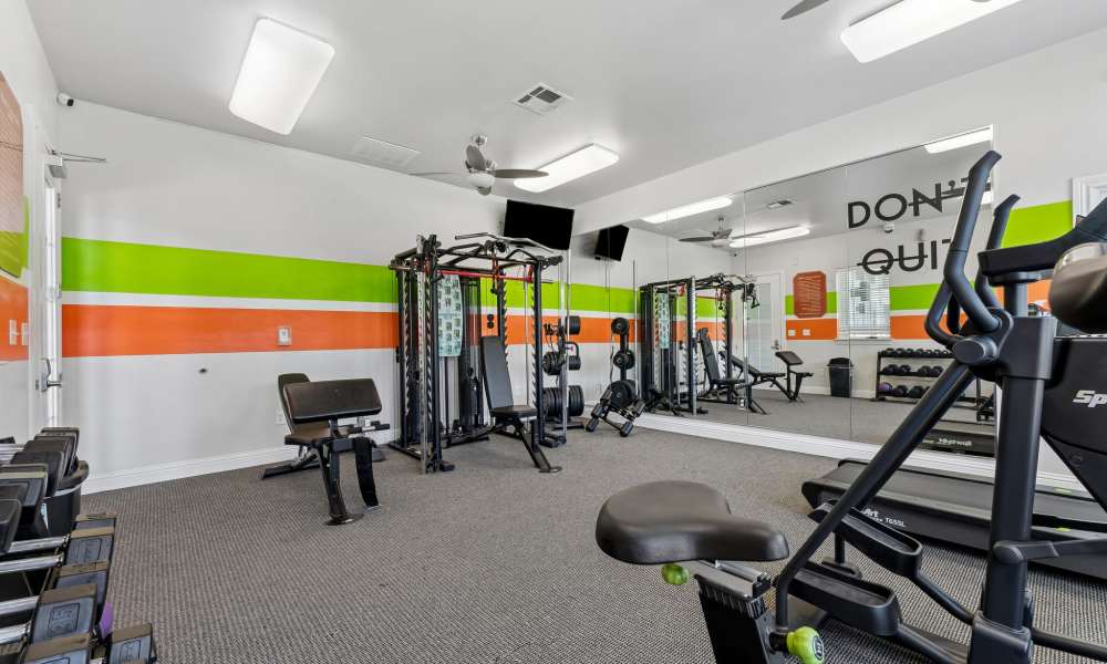 Fully equipped fitness center with cardio and strength training equipment and a mirror wall at Point Royale Apartments in Victoria, Texas