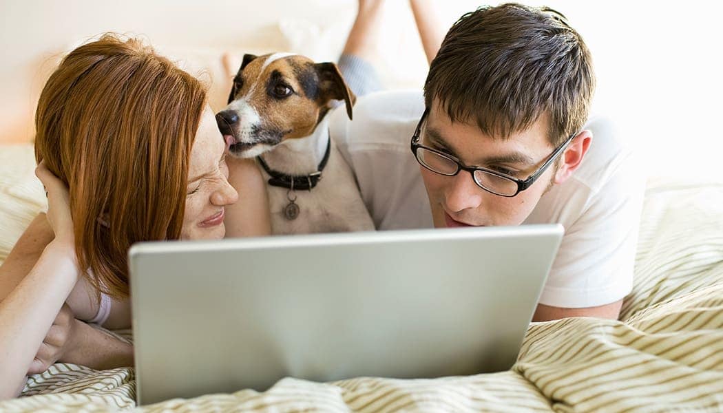 Couple surfing the web with their dog at Redlands Lawn and Tennis Club