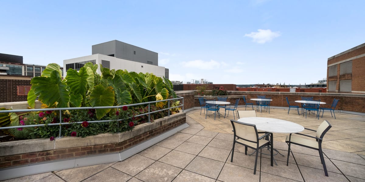 Large rooftop patio area for residents to mingle in and catch a nice sunset at Winston House in Washington, District of Columbia