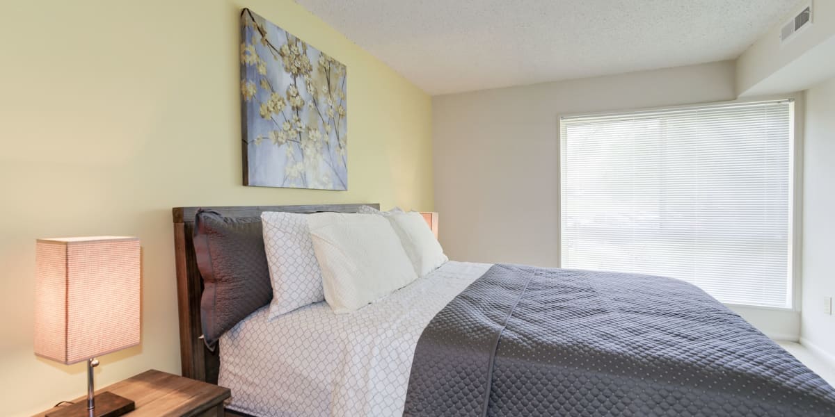 Cozy and well lit bedroom with a large window at The Brinkley House in Temple Hills, Maryland