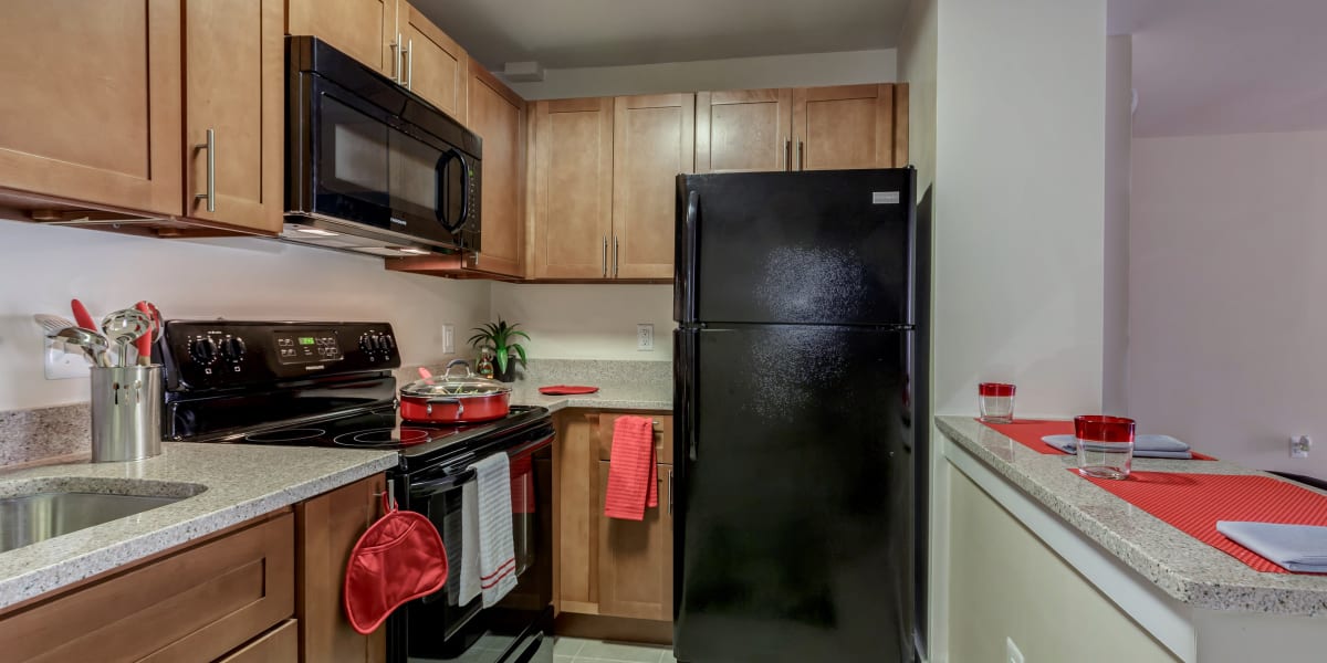 Black appliances that go nicely with the light wood cabinets in the kitchen at Takoma Flats in Washington, District of Columbia