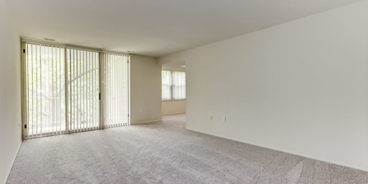 Well lit living room with clean carpeted floors at Mayfair House in Falls Church, Virginia