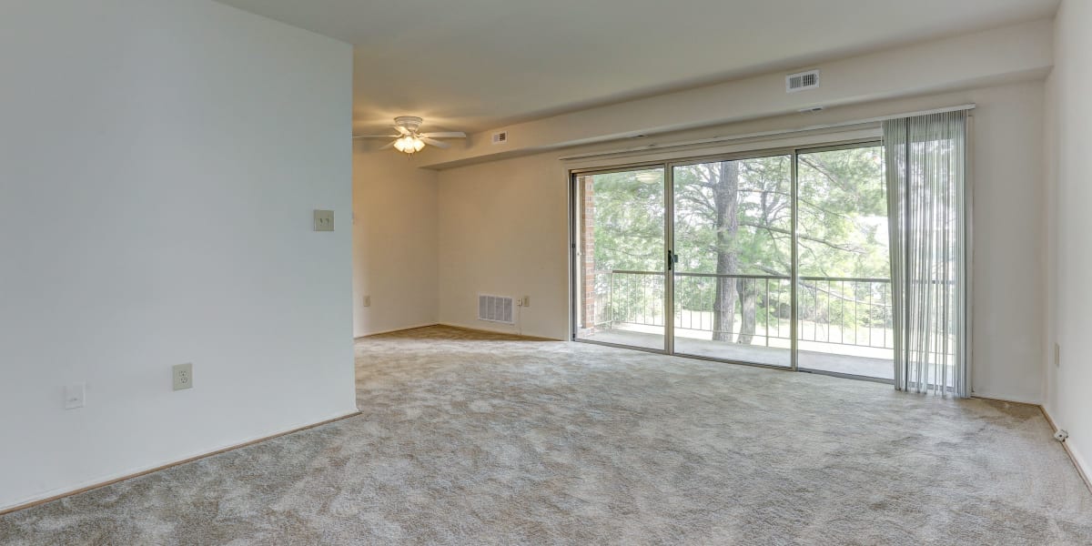 Spacious and carpeted living room area with tons of natural light at Parkway Plaza in Washington, District of Columbia