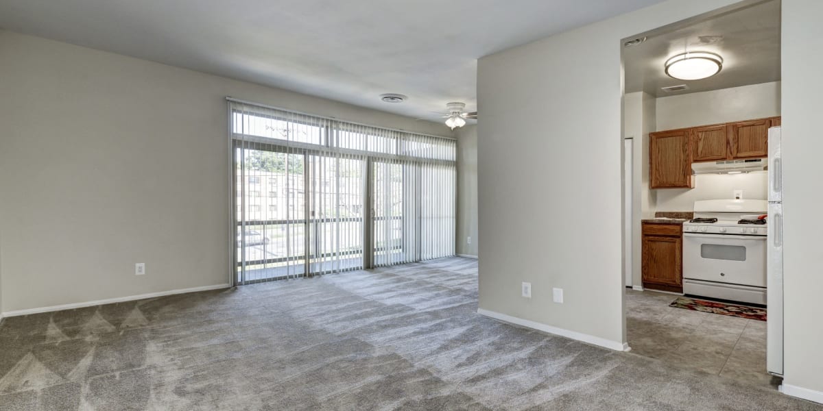 Large carpeted living area with tons of natural light and a sliding door to the patio at Wheaton House in Wheaton, Maryland