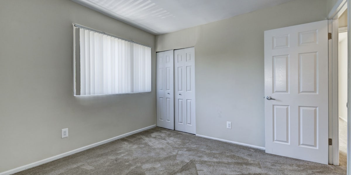 Spacious and well lit bedroom with carpeted floors at Wheaton House in Wheaton, Maryland