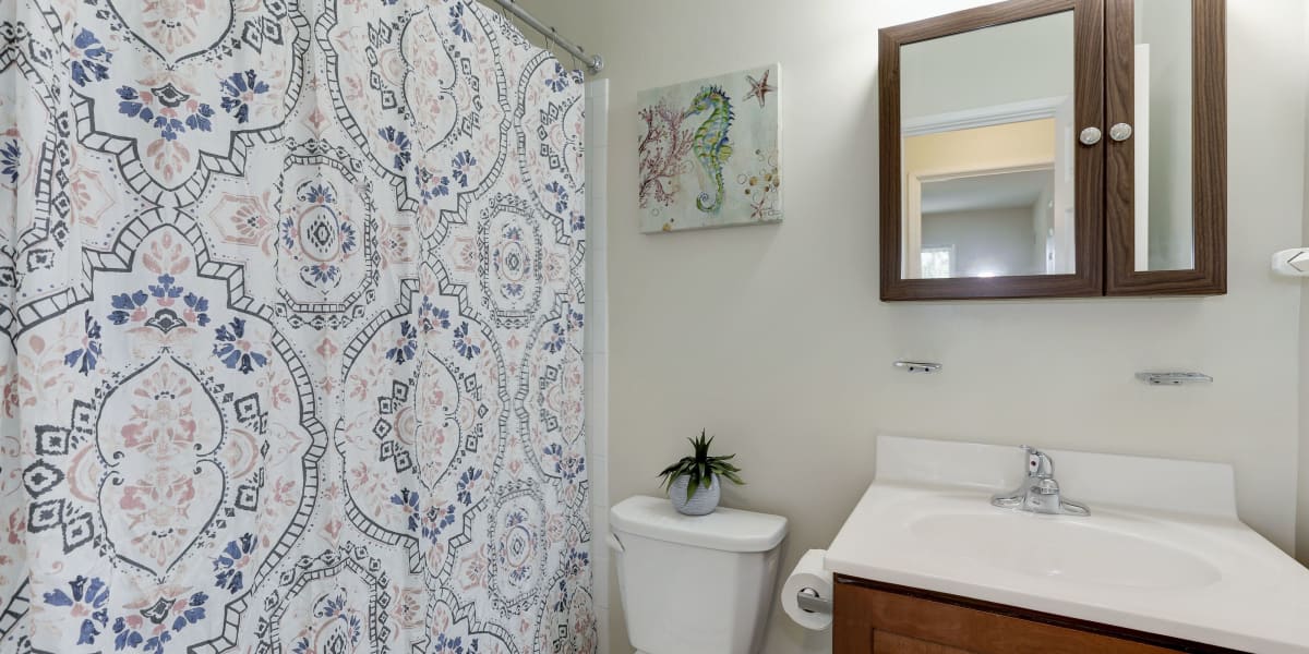 Cute bathroom with a vanity mirror that has extra storage in it at Pleasant House in Seat Pleasant, Maryland