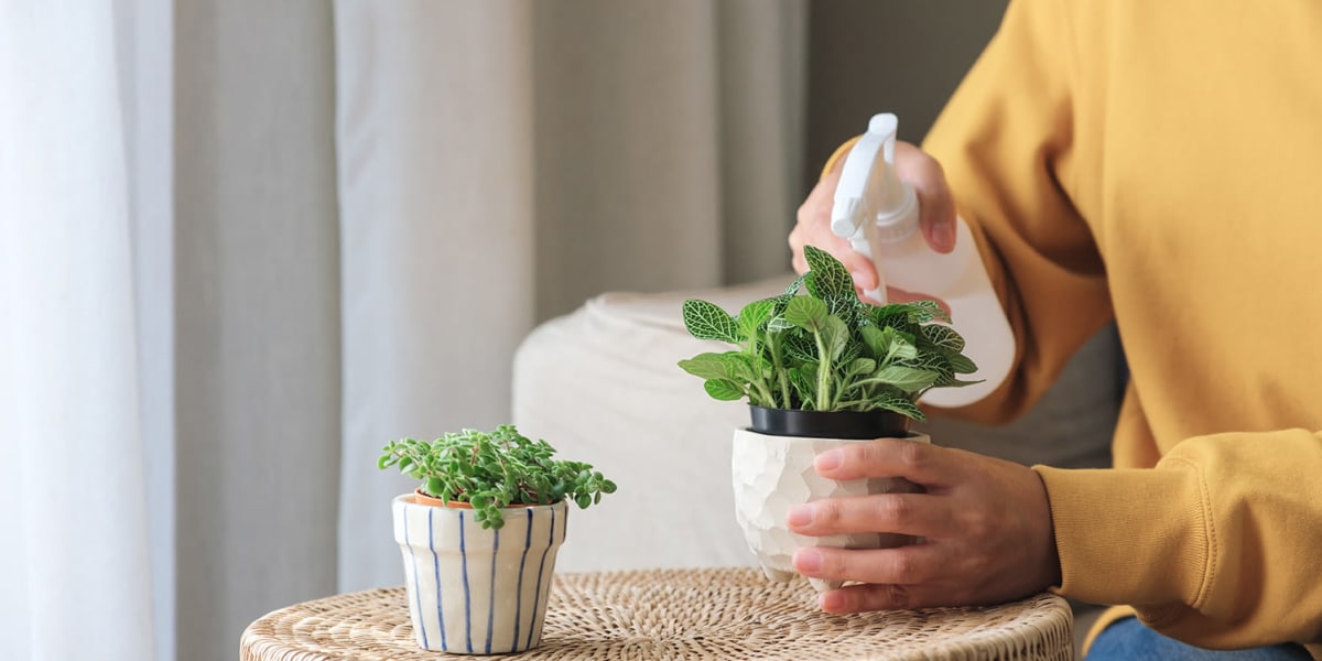 Photos of The Grove at Perry in Perry, FL