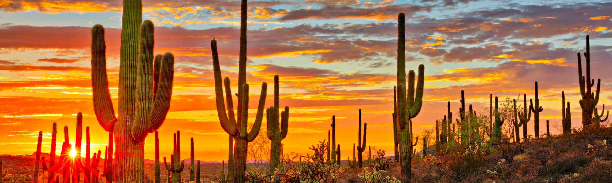 Photos of Colter Park in Phoenix, Arizona