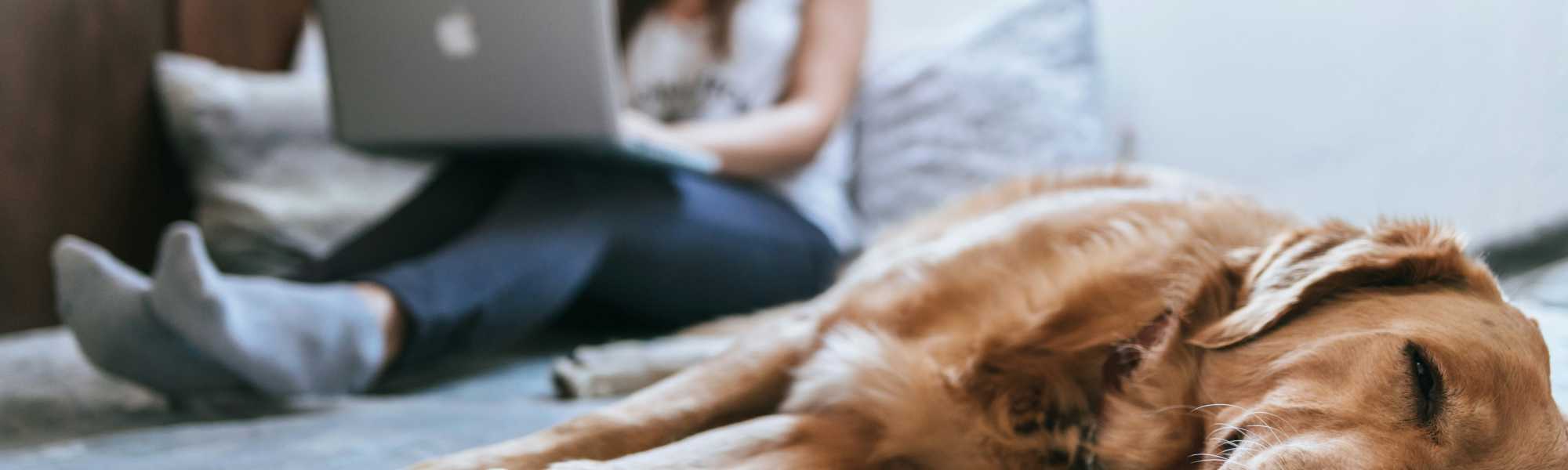 Residents at Flats At 540 in Apex, North Carolina