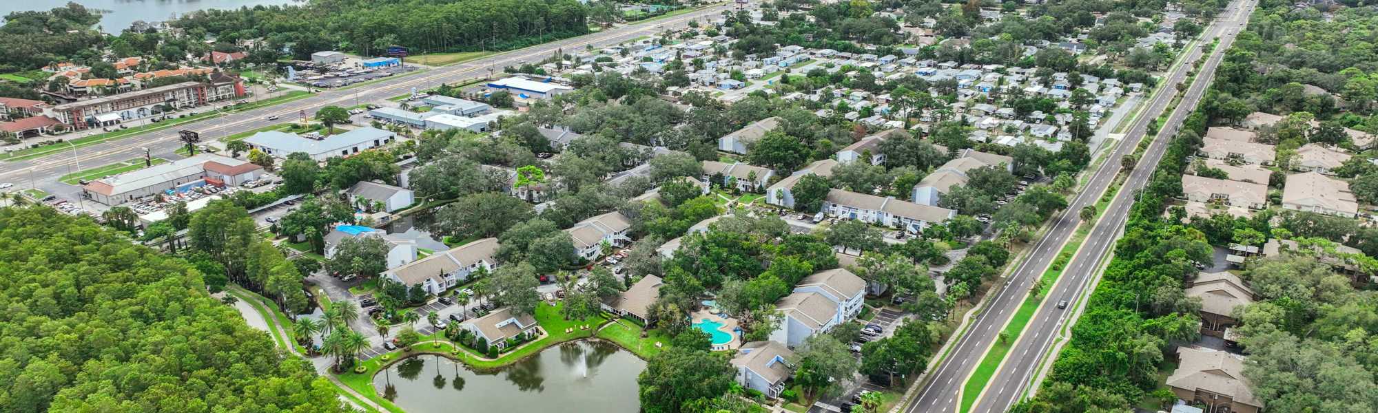 Location | Stillwater Palms in Palm Harbor, Florida