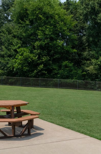 A picnic table and lush green grass at The Addison at South Tryon | Apartments & Townhomes in Charlotte, North Carolina
