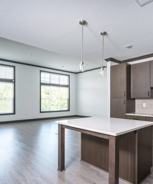 Parkville studio, 1 & 2 Bedroom Luxury Apartments for Rent