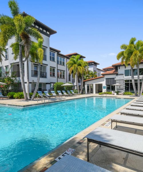 Luxurious pool area at Amelia Westshore in Tampa, Florida