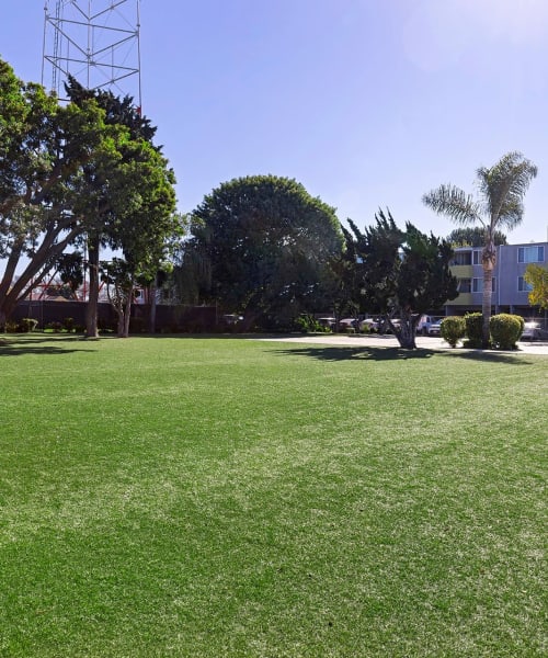 Grassy area at The Residences at Woodlake in Los Angeles, California