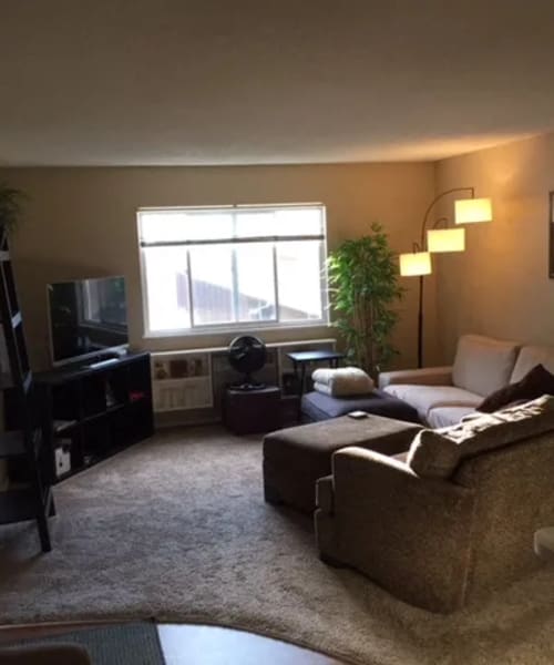 Living room with window at 1221 Vallejo Apartments in Novato, California