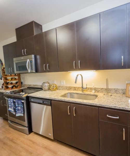 Kitchen with dark walnut cabinets at The Cameron in Portland, Oregon