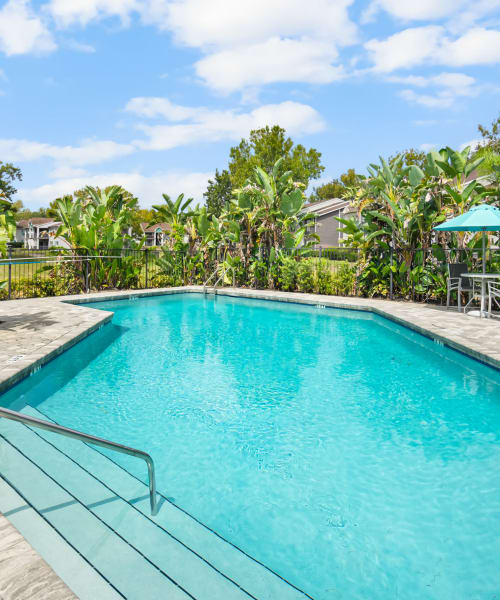 Swimming pool at The Isle Apartments in Orlando, Florida
