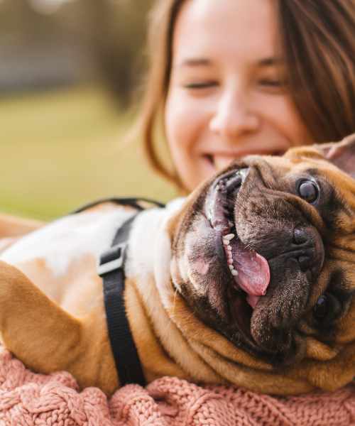 Link to pet-friendly at Crossings At NoDa in Charlotte, North Carolina