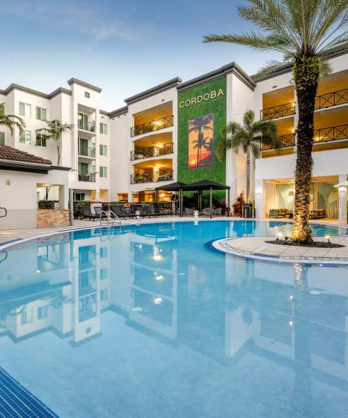 Resort-style swimming pool and palm tree at Cordoba in Doral, Florida