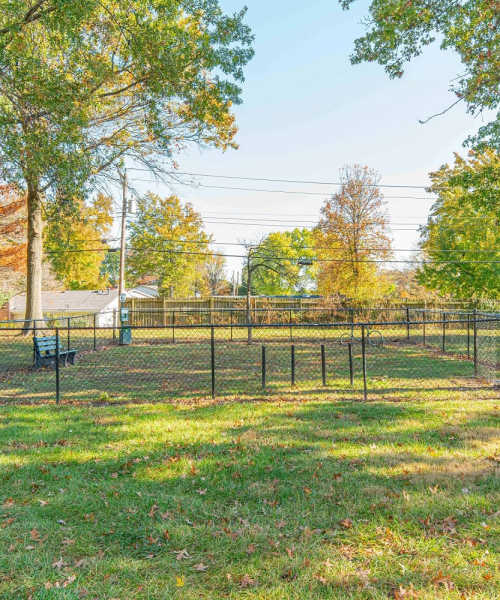 Wide Field and Dog Park at Peachtree Apartments in Chesterfield, Missouri