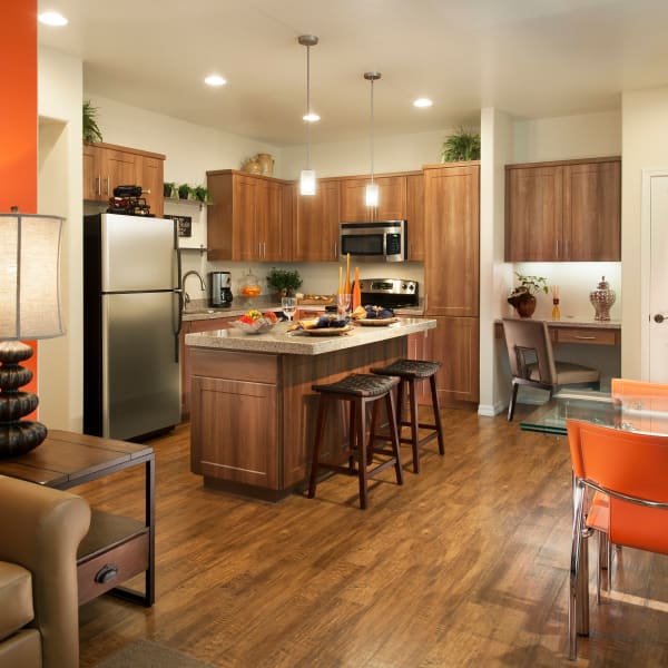 Luxury kitchen with custom cabinetry at San Capella in Tempe, Arizona