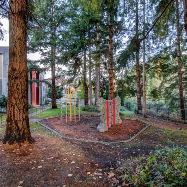 Children's playground surrounded by forest at The Dakota Apartments in Lacey, Washington