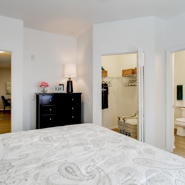 Spacious master bedroom with a walk-in closet and bathroom at The Meadows in Tacoma, Washington